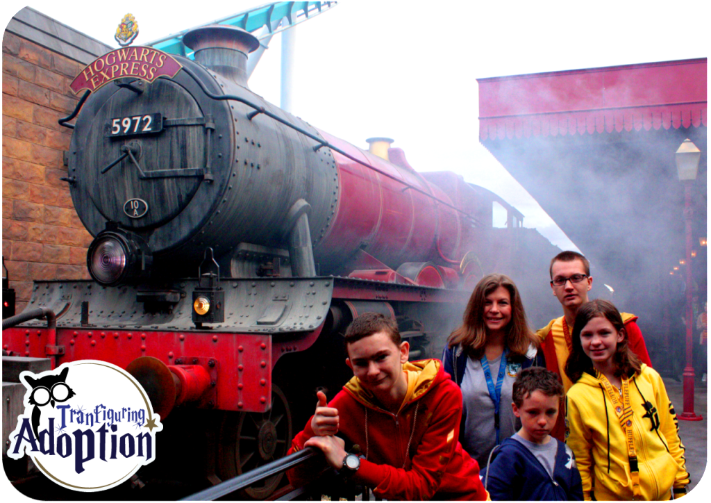 Finks-hogwarts-train-adoption-orlando-florida-diagon-alley