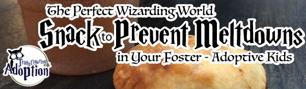Perfect-Wizarding-World-Snack-Prevent-Meltdowns-Your-Foster-Adoptive-Kids-header