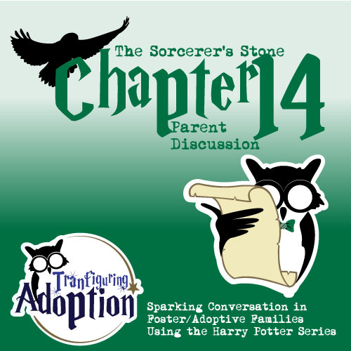 Transfiguring-adoption-chapter14-parent-foster-care-harry-potter