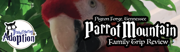 parrot-mountain-pigeon-forge-tennessee-trip-review-header