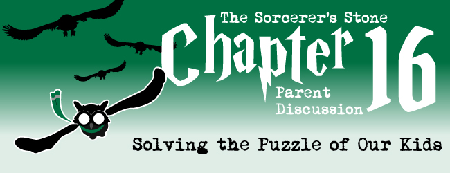 chapter16-parent-discussion-harry-potter-adoption