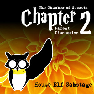 chapter-2-kid-discussion-chamber-secrets-social-media