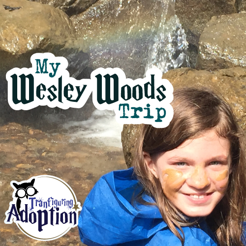 my-wesley-woods-trip