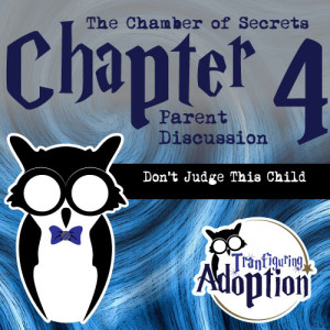 chapter-4-chamber-of-secrets-foster-parents-social-media