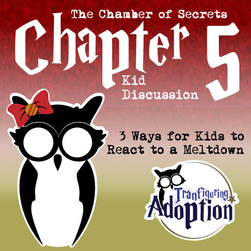 TA-chapter-5-chamber-of-secrets-foster-kids-social-media