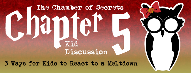 chapter-5-chamber-of-secrets-foster-kids