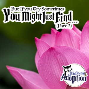 you-might-just-find-part-2-adoption-story-foster-kids-social