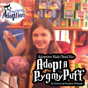 adoptive-kids-need-to-adopt-pygmy-puff-universal-orland-florida