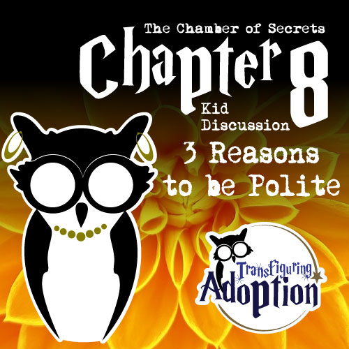 3-reasons-to-be-polite-Chapter-8-adoption