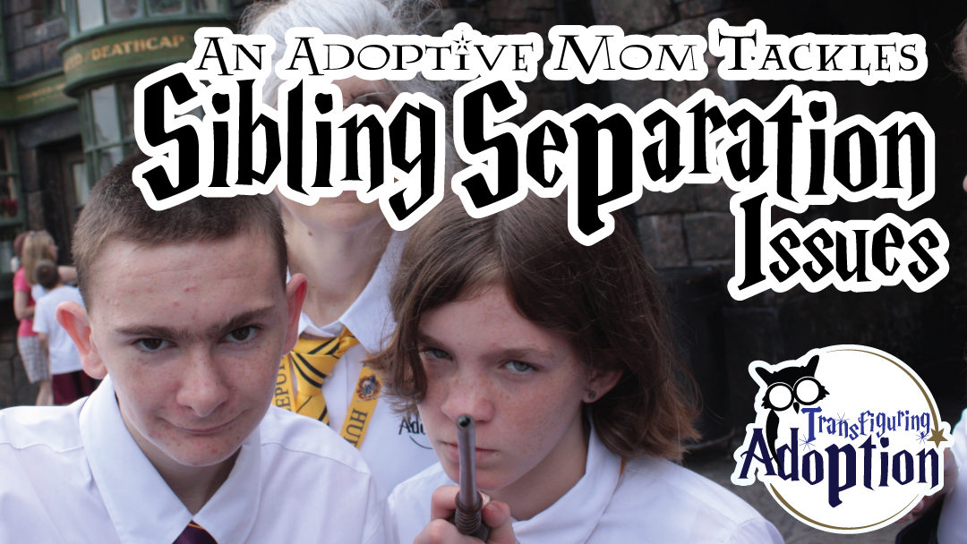 Adoptive-Mom-Sibling-Separation-Issues-facebook