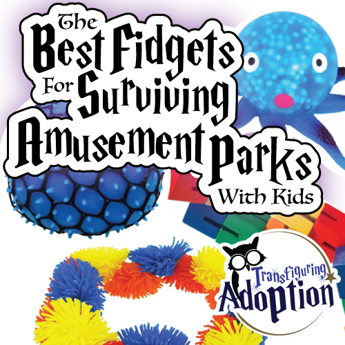 best-fidgets-for-surviving-amusement-parks-with-kids-pinterest