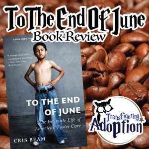 to-the-end-of-june-book-review-transfiguring-adoption-pinterest
