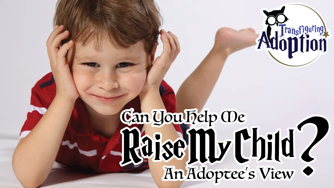 can-you-help-me-raise-my-child-adoptees-view-facebook
