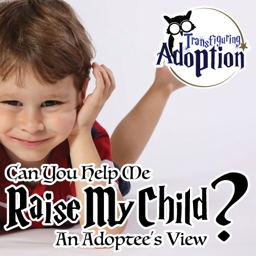 can-you-help-me-raise-my-child-adoptees-view-pinterest