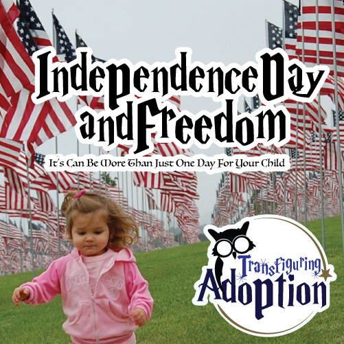 independence-day-and-freedom-foster-care-pinterest