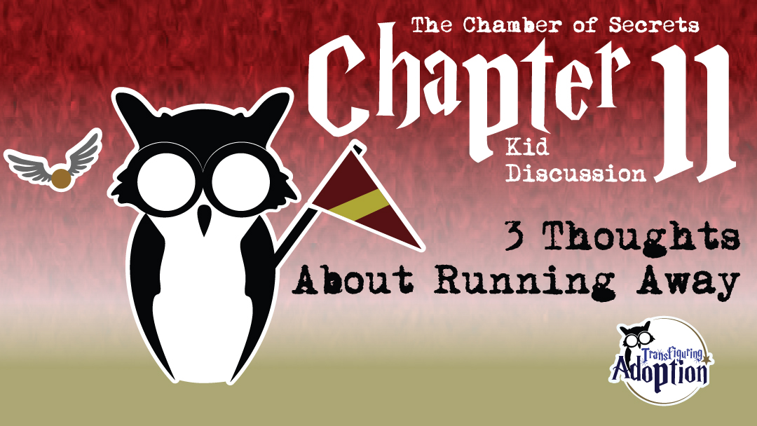 3-Thoughts-About-Running-Away-Chapter-11-Chamber-Secrets-facebook