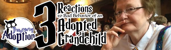 3-reaction-to-bad-behavior-in-adopted-grandchild-header