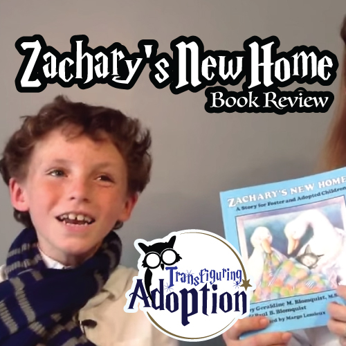 zacharys-new-home-foster-adoption-book-review-pinterest