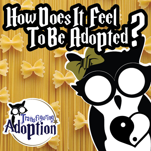how-does-it-feel-to-be-adopted-infant-adoption-pinterest