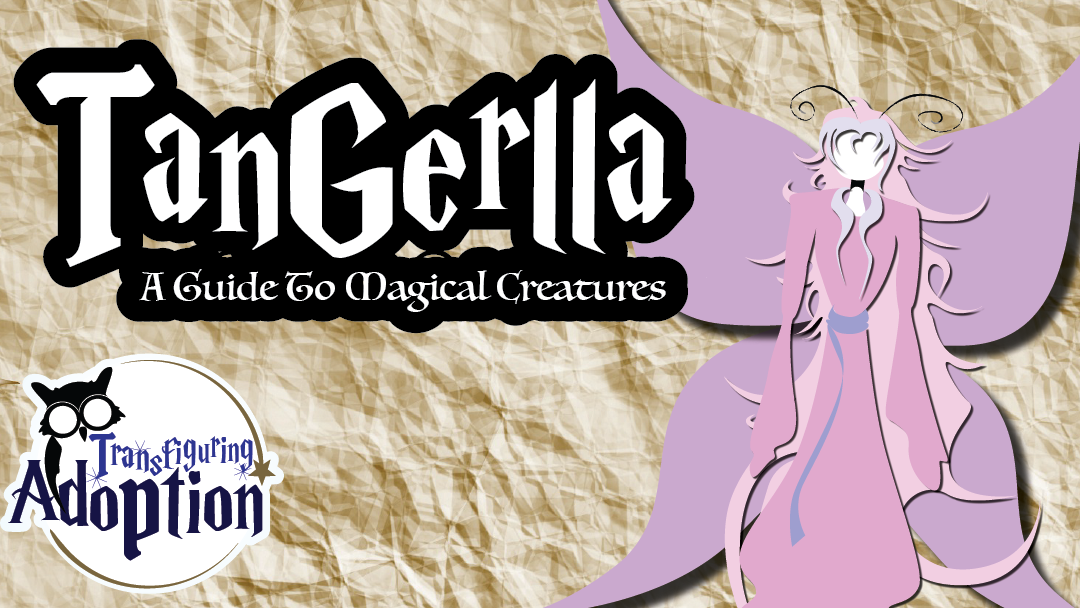 tangerella-guide-magical-creatures-around-your-home-transfiguring-adoption-facebook