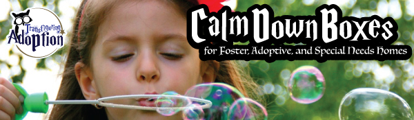 calm-down-boxes-foster-adoptive-special-needs-homes-header