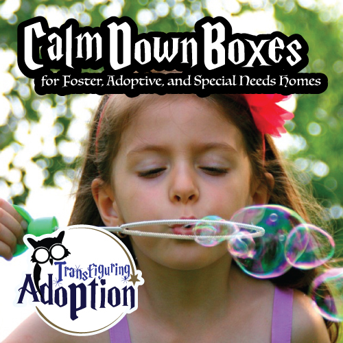 calm-down-boxes-foster-adoptive-special-needs-homes-square