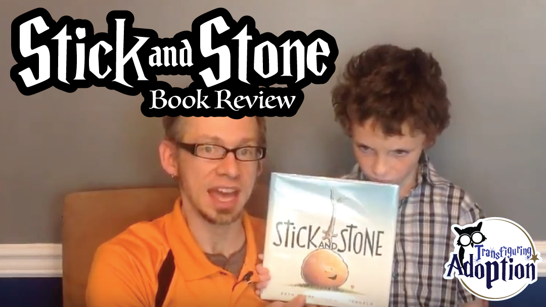 stick-and-stone-beth-ferry-book-review-rectangle