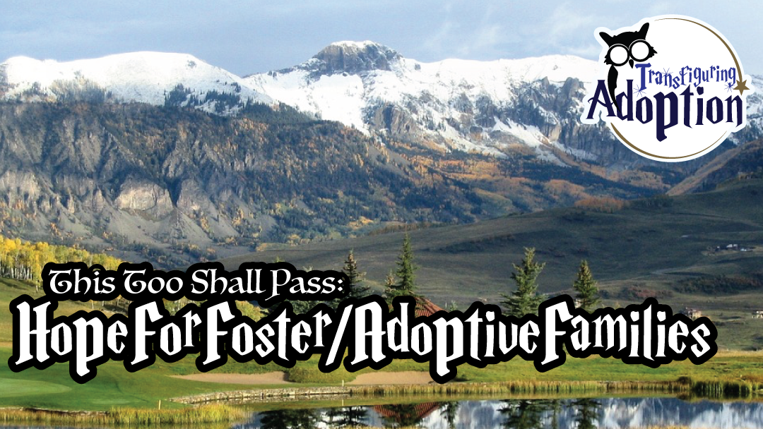 this-too-shall-pass-hope-foster-mom-transfiguring-adoption-rectangle