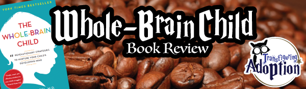whole-brain-child-book-review-header