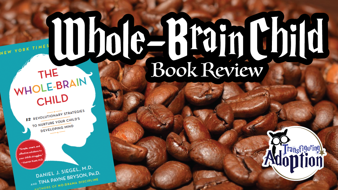 whole-brain-child-book-review-rectangle