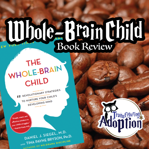 whole-brain-child-book-review-square