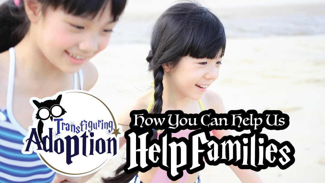 how-you-can-help-us-help-families-transfiguring-adoption-rectangle