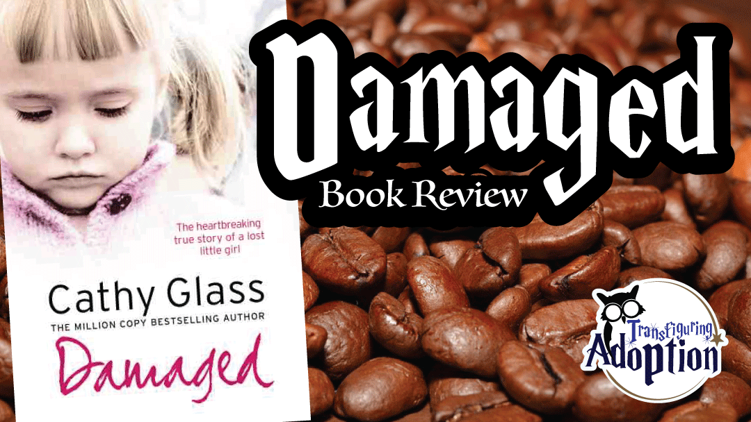 Damaged-cathy-glass-book-review
