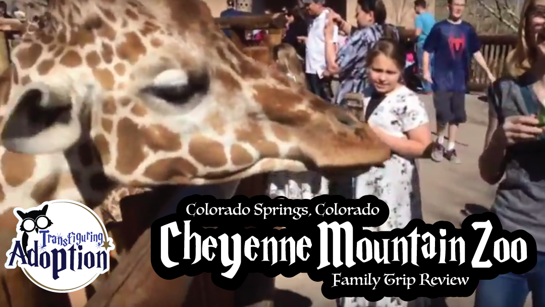 cheyenne-mountain-zoo-colorado-springs-rectangle