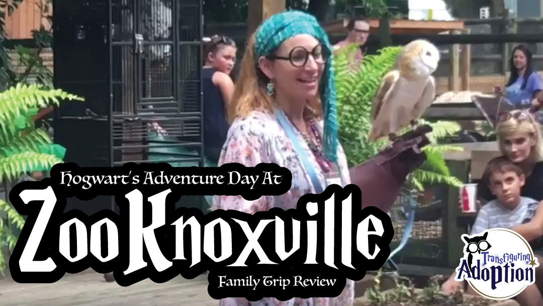 hogwarts-adventure-day-zoo-knoxville-transfiguring-adoption-rectangle