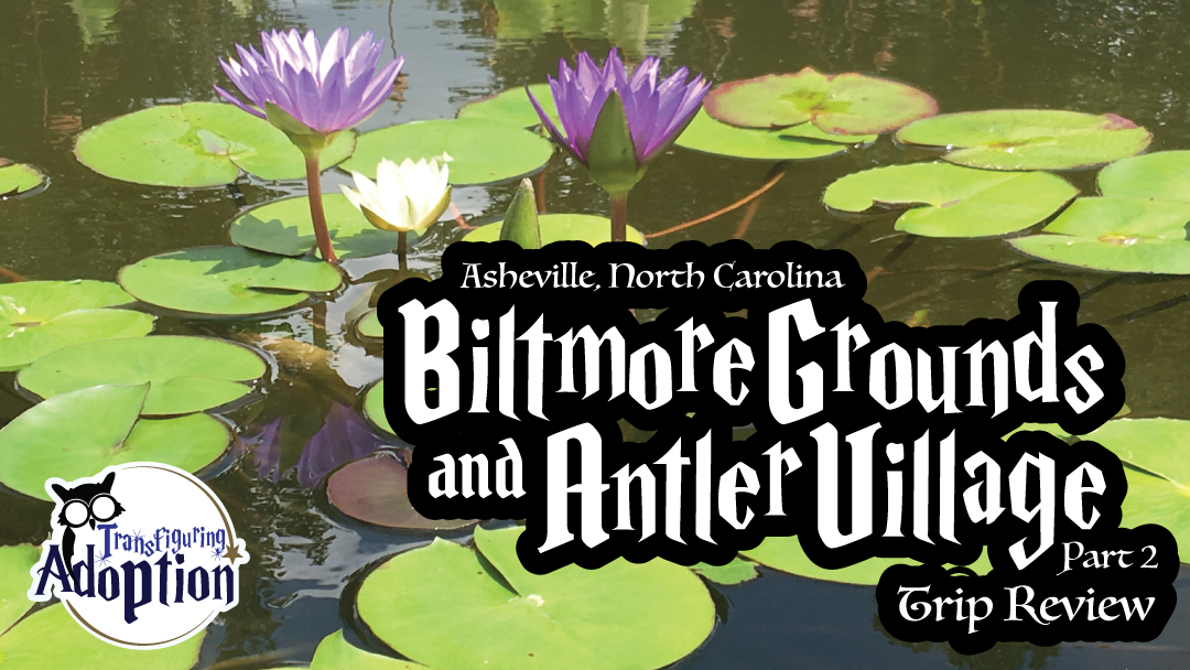 biltmore-grounds-antler-village-asheville-north-carolina-rectangle
