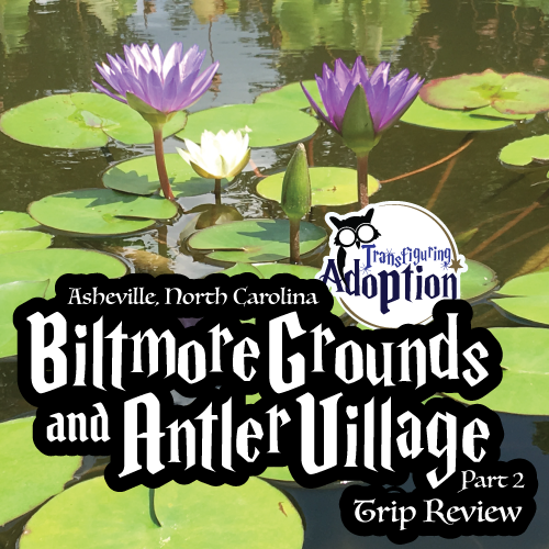 biltmore-grounds-antler-village-asheville-north-carolina-square