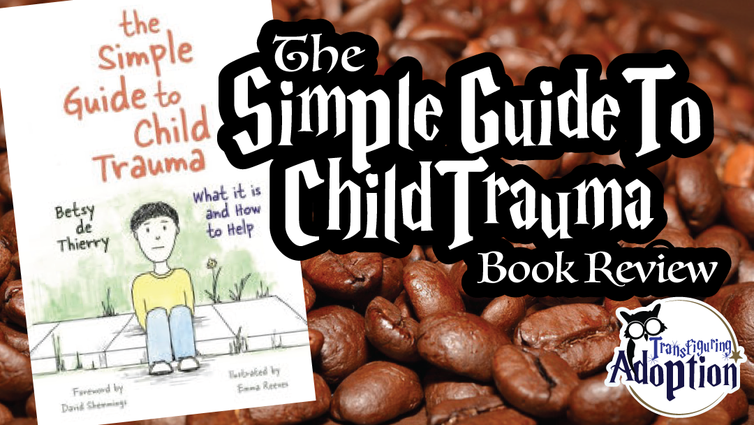 simple-guide-to-child-trauma-book-review-rectangle