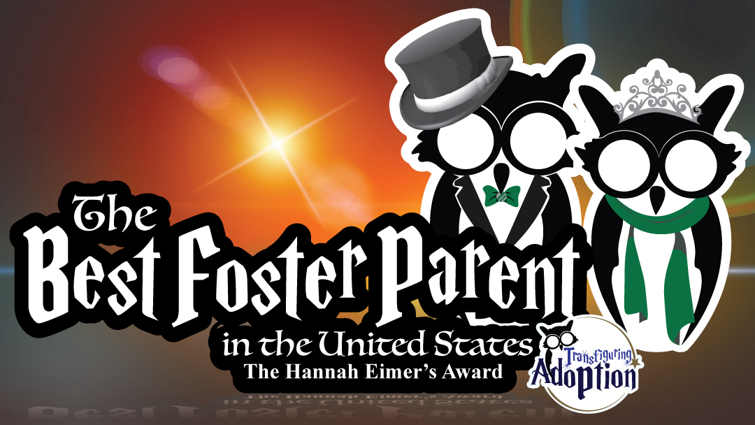 best-foster-parent-united-states-hannah-eimers-award-header