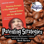 parenting-strategies-help-adoptive-foster-children-behavior-book-square