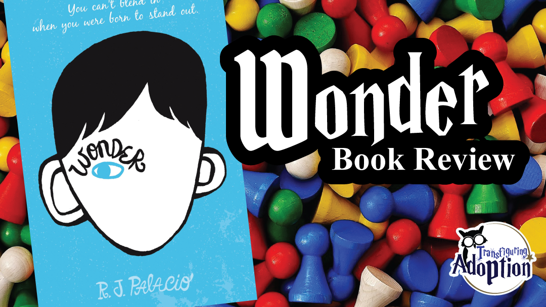 wonder-r-j-palacio-book-review-rectangle