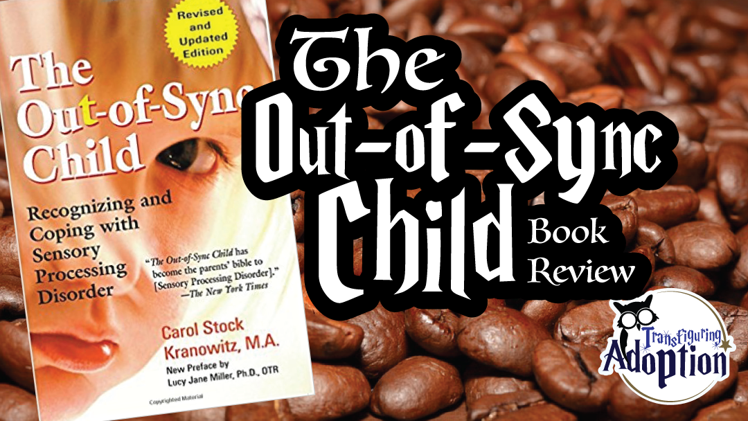 out-of-sync-child-book-review-rectangle