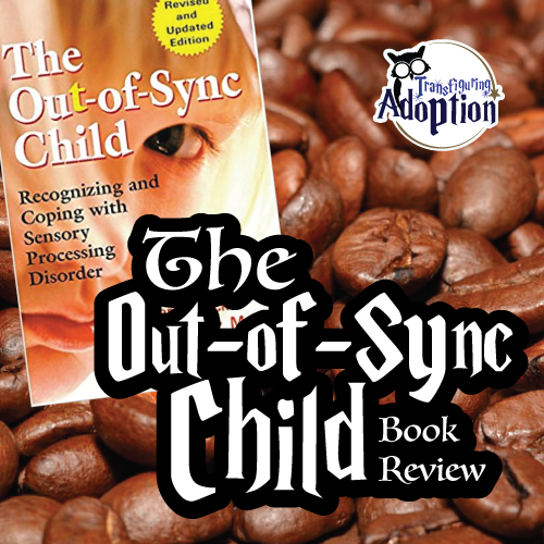 out-of-sync-child-book-review-square