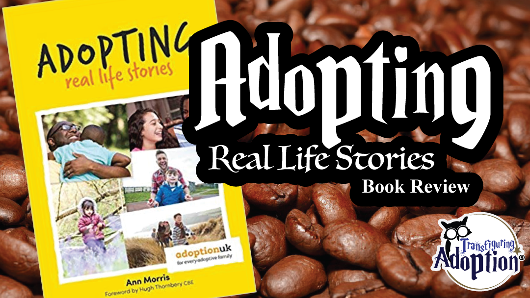 adopting-real-life-stories-book-review-rectangle