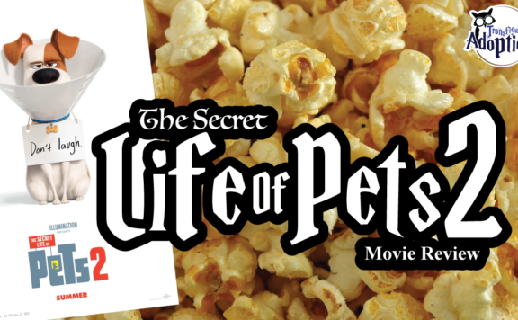 secret-life-of-pets-2-universal-studios-movie-review-transfiguring-adoption-rectangle