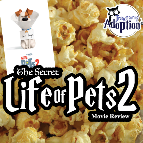 Secret Life of Pets 2 - Digital Review & Discussion Guide