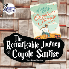 the journey of coyote sunrise