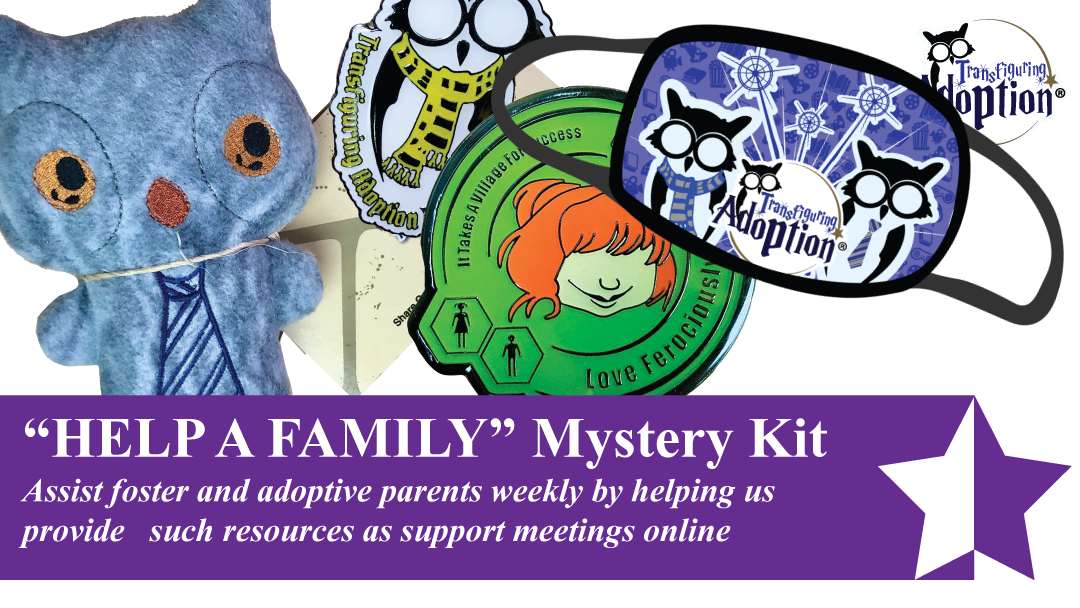"Help A Family" Mystery Kit