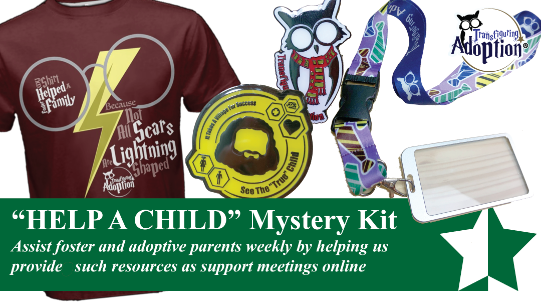 "Help A Kid" Mystery Kit